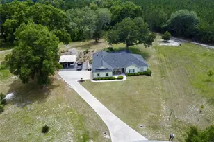 18450 NE 61 Ln, Williston, FL 32696 - Photo 3