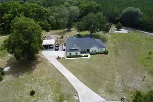 18450 NE 61 Ln, Williston, FL 32696 - Photo 3