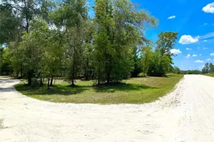 5331 SE 122 Ave, Morriston, FL 32668 - Photo 41