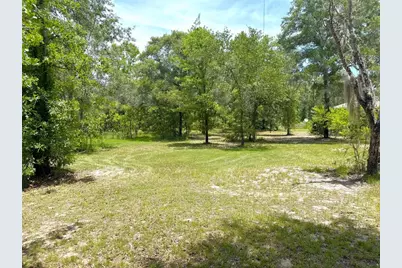 5331 SE 122 Avenue, Morriston, FL 32668 - Photo 47