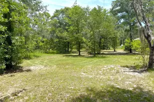 5331 SE 122 Ave, Morriston, FL 32668 - Photo 47