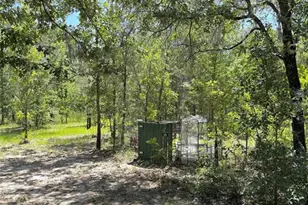 5331 SE 122 Ave, Morriston, FL 32668 - Photo 35