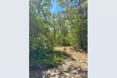 5331 SE 122 Avenue, Morriston, FL 32668 - Photo 37
