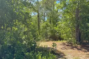 5331 SE 122 Ave, Morriston, FL 32668 - Photo 37