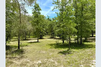 5331 SE 122 Avenue, Morriston, FL 32668 - Photo 45