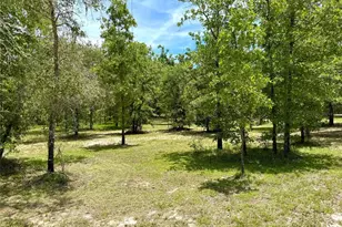 5331 SE 122 Ave, Morriston, FL 32668 - Photo 45