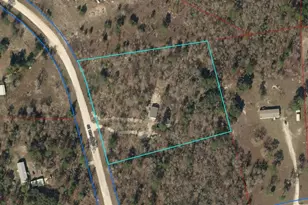 5331 SE 122 Ave, Morriston, FL 32668 - Photo 51