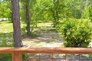 5331 SE 122 Ave, Morriston, FL 32668 - Photo 31