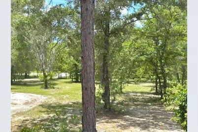 5331 SE 122 Avenue, Morriston, FL 32668 - Photo 49
