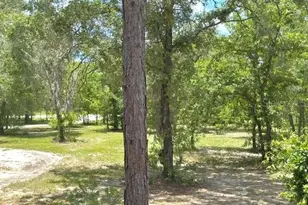 5331 SE 122 Ave, Morriston, FL 32668 - Photo 49