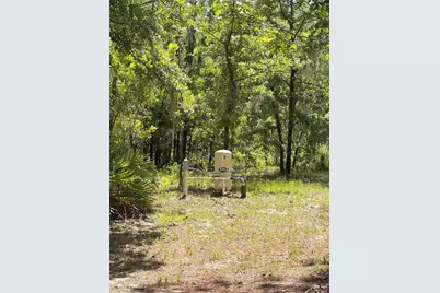 5331 SE 122 Avenue, Morriston, FL 32668 - Photo 33