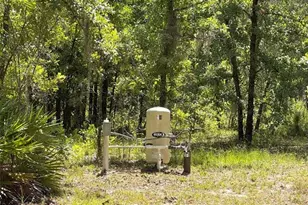 5331 SE 122 Ave, Morriston, FL 32668 - Photo 33