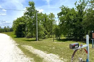 5331 SE 122 Ave, Morriston, FL 32668 - Photo 39