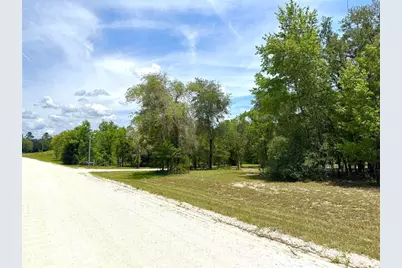 5331 SE 122 Avenue, Morriston, FL 32668 - Photo 43