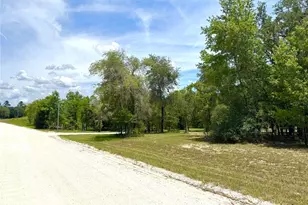 5331 SE 122 Ave, Morriston, FL 32668 - Photo 43