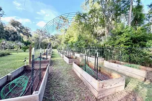 1043 SE County Rd 21b, Melrose, FL 32666 - Photo 35