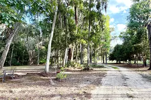 1043 SE County Rd 21b, Melrose, FL 32666 - Photo 47