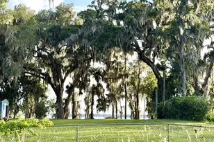 1043 SE County Rd 21b, Melrose, FL 32666 - Photo 49