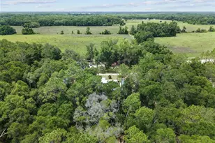 9949 NW 55th St, Chiefland, FL 32626 - Photo 39