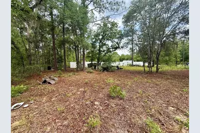 Tbd NE 3rd Place, Williston, FL 32696 - Photo 9