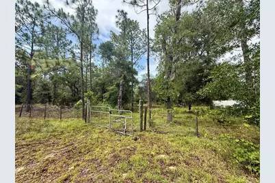 Tbd NE 3rd Place, Williston, FL 32696 - Photo 3