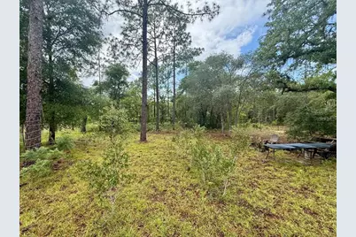 Tbd NE 3rd Place, Williston, FL 32696 - Photo 7
