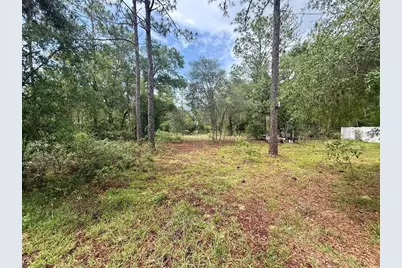 Tbd NE 3rd Place, Williston, FL 32696 - Photo 5