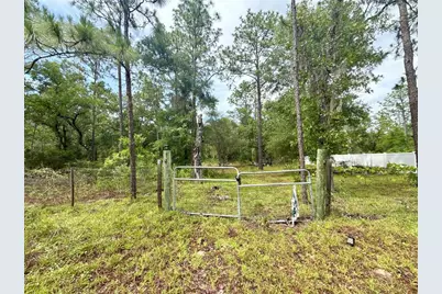Tbd NE 3rd Place, Williston, FL 32696 - Photo 1