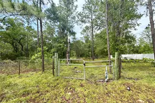 Tbd NE 3rd Pl, Williston, FL 32696 - Photo 1