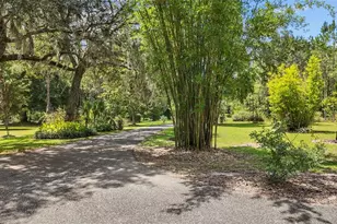 8851 NW 115th St, Chiefland, FL 32626 - Photo 9