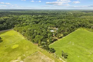 8851 NW 115th St, Chiefland, FL 32626 - Photo 47