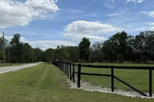 559 SW 15th Ct, Bell, FL 32619 - Photo 37