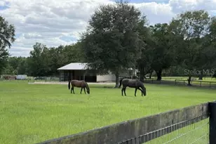 559 SW 15th Ct, Bell, FL 32619 - Photo 39