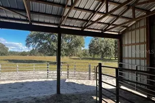 559 SW 15th Ct, Bell, FL 32619 - Photo 31