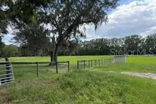 559 SW 15th Ct, Bell, FL 32619 - Photo 45