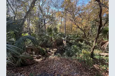 1515 NW 29th Road #D2, Gainesville, FL 32605 - Photo 3