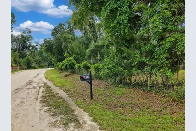 109 NE 194th Avenue, Old Town, FL 32680 - Photo 3