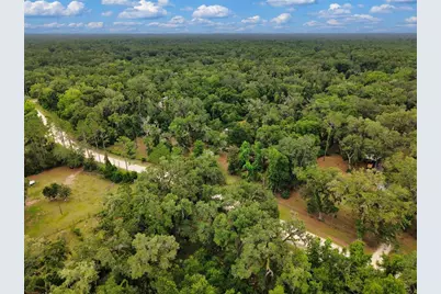 109 NE 194th Avenue, Old Town, FL 32680 - Photo 11