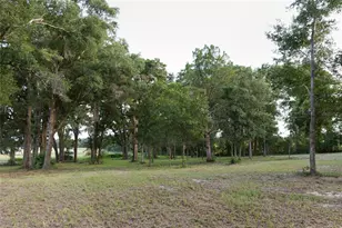 3705 NW 31st Ave, Bell, FL 32619 - Photo 51