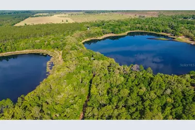 138 Hutchinson Lane, Hawthorne, FL 32640 - Photo 5