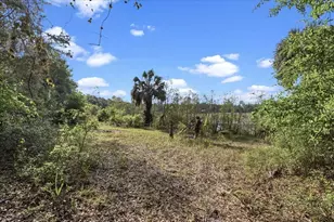 138 Hutchinson Ln, Hawthorne, FL 32640 - Photo 3