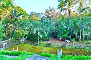 20517 NE 114th Ave, Waldo, FL 32694 - Photo 57