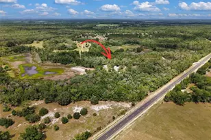 10250 NE 5th Ave, Branford, FL 32008 - Photo 43