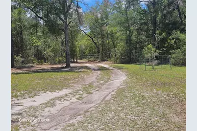 10250 NE 5th Avenue, Branford, FL 32008 - Photo 31