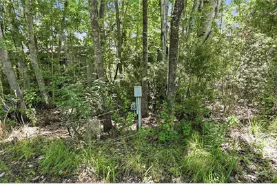 561 SE 28th Street, Melrose, FL 32666 - Photo 63
