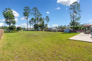 4415 Tall Pines Ln, Middleburg, FL 32068 - Photo 7