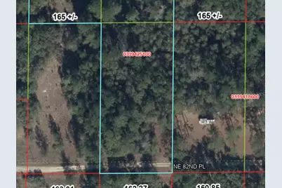 Tbd NE 82nd Place, Bronson, FL 32621 - Photo 3