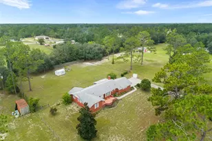 10290 NE 60th St, Bronson, FL 32621 - Photo 47