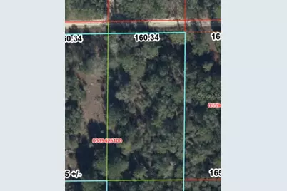 Tbd NE 83rd Lane, Bronson, FL 32621 - Photo 3
