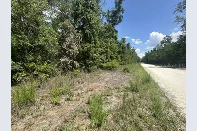 284th Street, Branford, FL 32008 - Photo 3